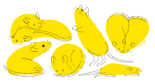 Rii Abrego On Twitter: "How To Draw A Rat Step 1: Draw Any Shape Step 2:  Congrats Https://T.co/Xm4Qdpgtgt" / Twitter