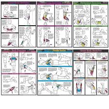 32 Unfolded York 925 Multi Gym Exercise Chart