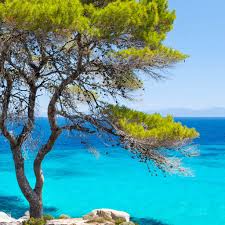 Τρεις χερσόνησοι που φθάνουν στο βάθος του αιγαίου. Halkidiki Palladium Hotel