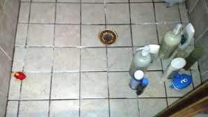 Remove mildew from grout using mild cleaners 3. Grout Worms Lurking In A Well Used Shower Neuse Tile Service