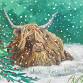 Highland Cow Christmas Paint Night Bracknell event image