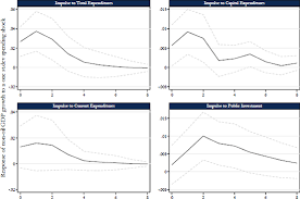 Public islamic optimal growth fund. Economic Growth And Government Spending In Saudi Arabia An Empirical Investigation In Imf Working Papers Volume 2014 Issue 003 2014