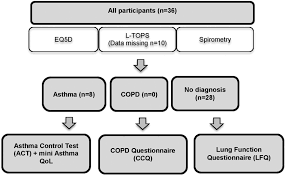 Image result for Lung Function Questionnaire
