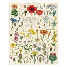 Jun 15, 2021 · cavallini & co wildflowers puzzle, £15.62 at stocklistgoods.com. Cavallini Wildflowers Vintage Puzzle 1000pce Peter S Of Kensington