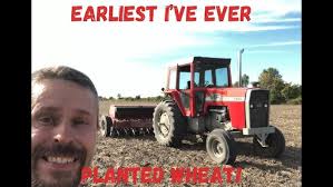 Red is an 11 year old sorrel gelding #03112