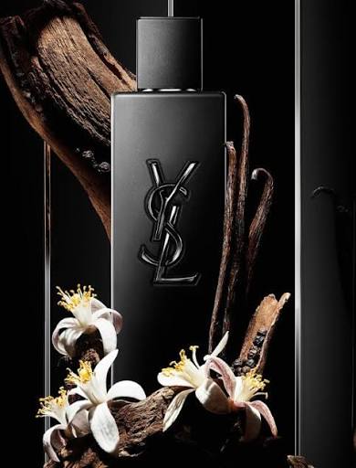 YSL Y EDP