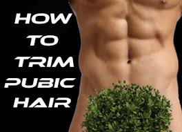 Depilatories are creams that you apply directly to the hair, then wipe off a few minutes later. How To Trim Pubic Hair Without Cutting Yourself Manscaping Guide