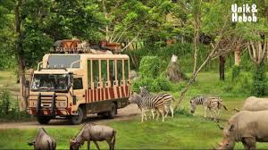 Pemandangan dan spot foto menarik di kebun binatang ragunan. Kebun Binatang Terbaik Di Indonesia Youtube
