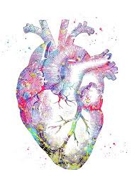 Human Heart 4 By Erzebet S In 2021 Human Anatomy Art Anatomy Art Nurse Art