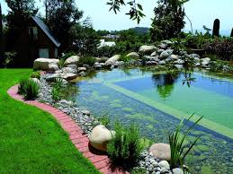 Pin By Ricardo Loio On Dream Pools Garden Pond Design Ponds Backyard Pond Landscaping