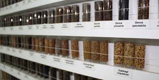 So do not be afraid to take advantage of the opportunity. Global Genebank Partnership Crop Trust