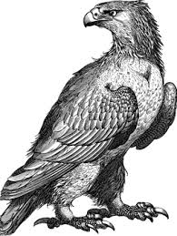 Burung yang paling laris di gambar ialah burung garuda, burung hantu, burung elang, burung merpati dan masih banyak burung lainnya. Elang Gambar Vektor Unduh Gambar Gratis