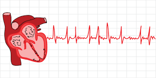 Since the 1950s, doctors have prescribed warfarin, marketed as coumadin, to control atrial fibrillation (af). Understanding Afib Blood Thinners Simplified Scope