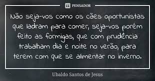 Nao Seja Vos Como Os Caes Oportunistas Ubaldo Santos De Jesus
