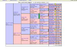 Pin By Marcy Luttrell On Horse Thoroughbred Horse Diagram