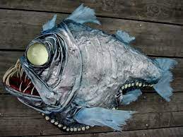 The Hatchetfish The Viper Fish S Neighbor Deep Sea Creatures Deep Sea Animals Deep Sea Life