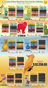 How Much Our Pets Cost In A Lifetime Pets Pet Ownership Pet Care