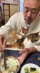 Italy Migrants Cat Eaten