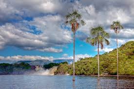 Venezuela ist ein südamerikanischer staat an der karibikküste. Nationalpark Canaima Venezuela Franks Travelbox