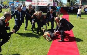 Devlet Bahceli Kirmizi Halida Yururken Dustu Galeri Turkiye