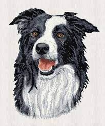 Border Collie Cross Stitch Pattern By Crosstitch Com Crosstitch Com Cross Stitch Patterns Cross Stitch Animals Cross Stitch