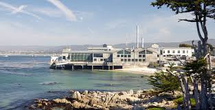 Discover more posts about monterey bay aquarium. Ehdd S Monterey Bay Aquarium Wins Aia 25 Year Award Archdaily