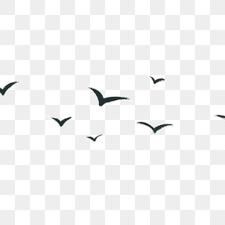 Semua tipe file gambar yang disebutkan di atas (bmp, jpg, png, dan gif) termasuk jenis raster (atau. Gambar Burung Png Vektor Psd Dan Untuk Muat Turun Percuma Pngtree