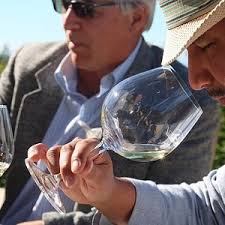 Sokol Blosser Tasting Room & Winery (2025)