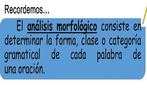 Analisis Morfologico Que Es Y Sus Tipos