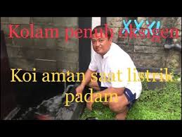 Tips Filter Kolam Koi Dan Membuat Arus Plus Supply Oksigen Kolam Dengan Eductor Ejector Atau Ventury Youtube Kolam Koi Filter