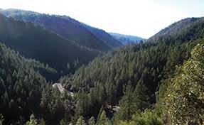 Maybe you would like to learn more about one of these? South Yuba River Sp