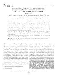 Image result for Dewevrella cochliostema