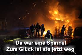 Diese kleinen kreaturen tun uns nichts, aber sorgen trotzdem für so einige schlaflosen nächte. Auf Spinnenjagd Mann Setzt Haus In Brand Feuerwehr Magazin