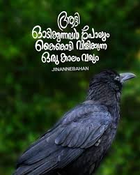 Pin By Me Han Aa On I Am A Mallu Malayalam Quotes Status Quotes Inspirational Quotes