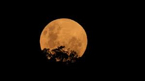 Este miércoles 26 de mayo tendrá lugar un suceso astronómico que acaparará la atención se trata del eclipse total de luna. Sl U4ktzpisntm