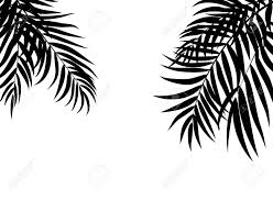 Trouvez les palm leaf silhouette images et les photos d'actualités parfaites sur getty images. Schone Palme Blatt Silhouette Vektor Illustration Lizenzfrei Nutzbare Vektorgrafiken Clip Arts Illustrationen Image 92497928