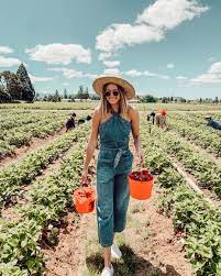 Madeline Balderston On Instagram Strawberry Picking Season Strawberry Picking Strawberry Picking Photography Strawberry Picking Pictures