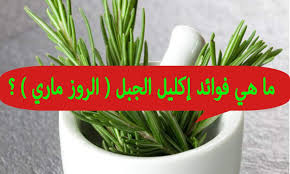 ما هي فوائد إكليل الجبل الروز ماري Health Planter Pots Youtube