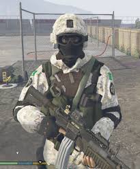 When playing a video game, every player wants to look and feel unique and stand out from the crowd, different games allow players to do this in different ways. Pakistan Ssg Commando Gta5 Mods Com