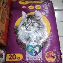 Kucing persia dengan hidung datar sangat banyak dicari oleh para pecinta. Jual Makanan Kucing Bolt Makanan Kucing Makanan Kucing Murah Untuk Kucing Persia Kucing Anggora Dan Kucing Kampung Di Lapak Tiktok Petshop Bukalapak