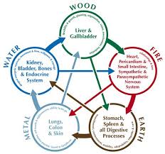 Kidney Qi And The Water Element Chinese Medicine Traditional Chinese Medicine Medicine