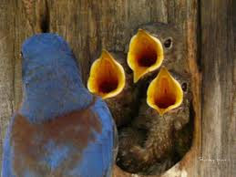 The Balancing Act of Influence (Wendy Samson and Curt Swenson, 2015)