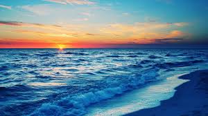 Fondo pantalla atardeceres for android apk download. Fondo De Playa Al Atardecer Fondo De Pantalla De Calidad Hd 1920x1080 Wallpapertip
