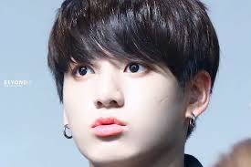 Bts Panosundaki Pin