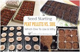 We did not find results for: Seed Starting Peat Pellets Vs Soil Which Should You Use And Why