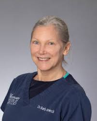 Meet Our Veterinarians