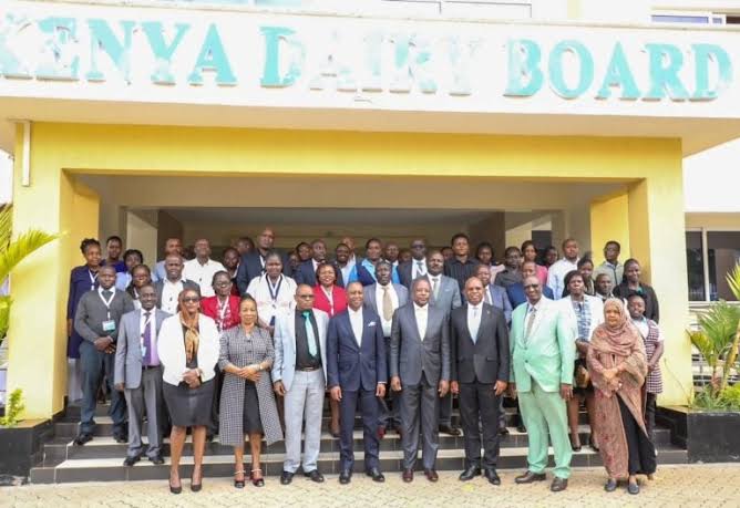 Kenya Dairy Board confirms temporary milk supply shortages - People Daily