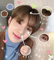 Anatomy Of Jungwoo Nct Anatomy Nct Dream