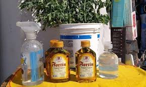 La caña con ruda es una mezcla de caña blanca paraguaya o ginebra con hojas de ruda, una hierba calificada como medicinal por sus excelentes efectos en el aparato digestivo y también en el circulatorio. Https Www Xn Lamaanaonline Lkb Com Ar Noticia 43417 La Caa Con Ruda Aument Un 100 Respecto Al Ao Pasado