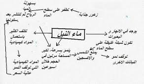 الوحدة رقم ١ النظر في الحياة View As Single Page